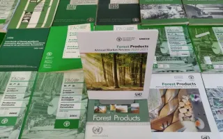 Forest Products Annual Market Review w zbiorach CBS