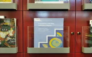 Population and Vital Statistics Report jest dostępny w zbiorach Centralnej Biblioteki Statystycznej